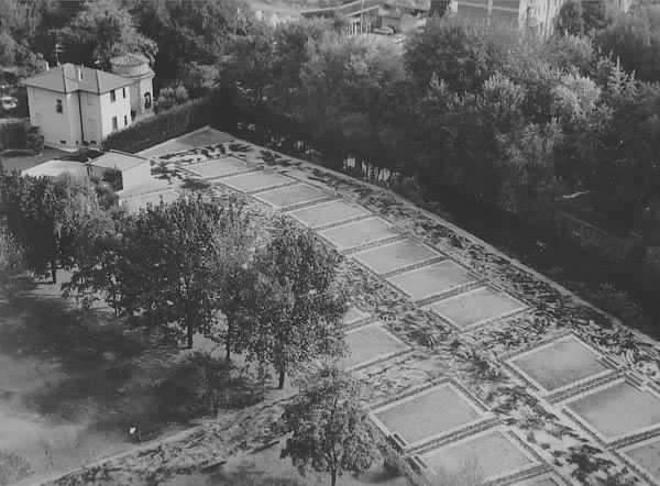 Orti urbani. Foto Mario Ingrosso